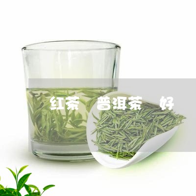 红茶 普洱茶 好/2023041107360